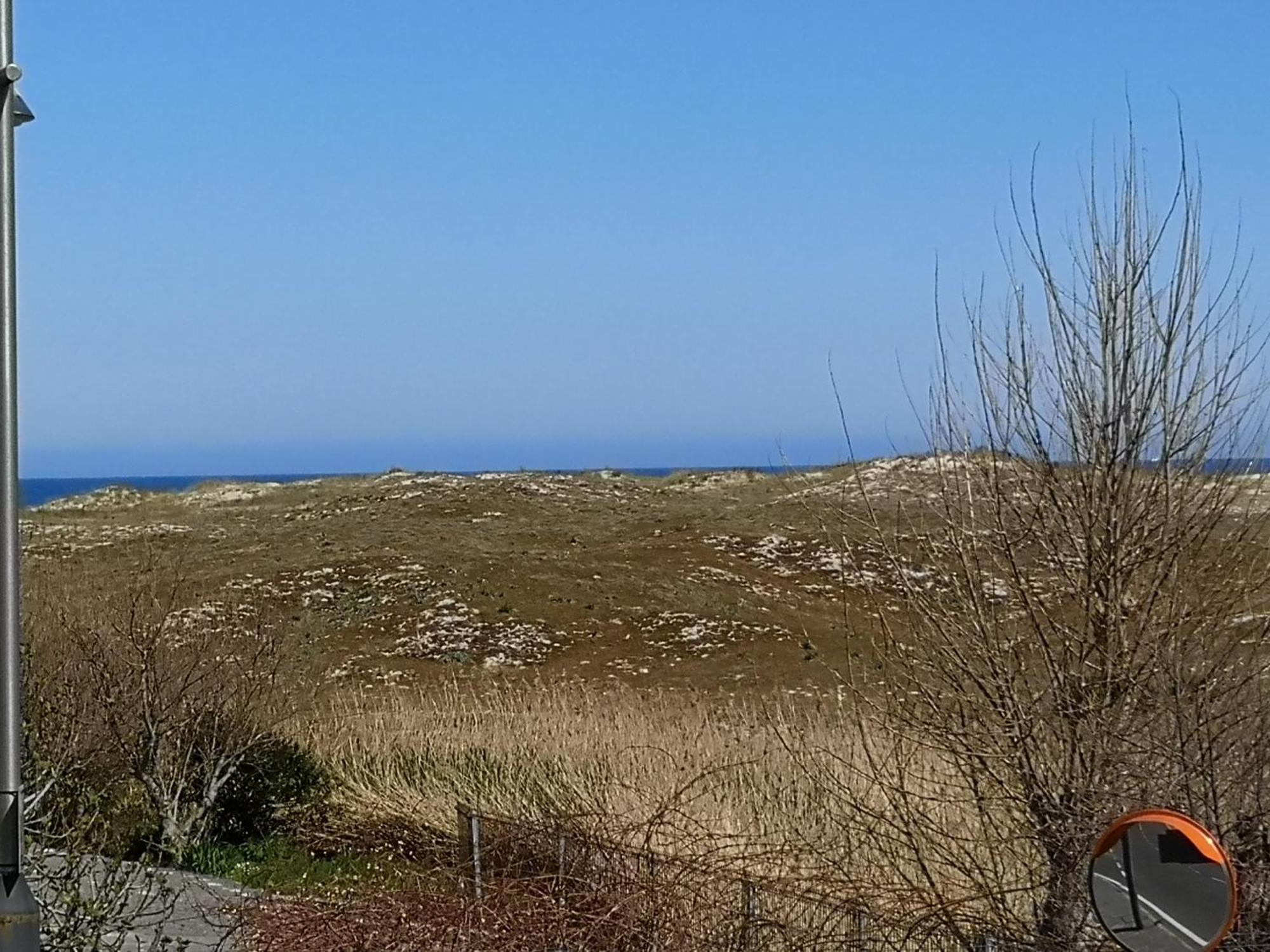 Playa De Barranan Leilighet Arteixo Eksteriør bilde